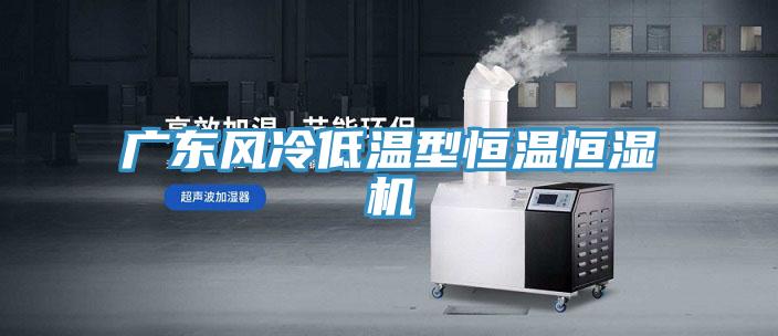 广东风冷低温型恒温恒湿机