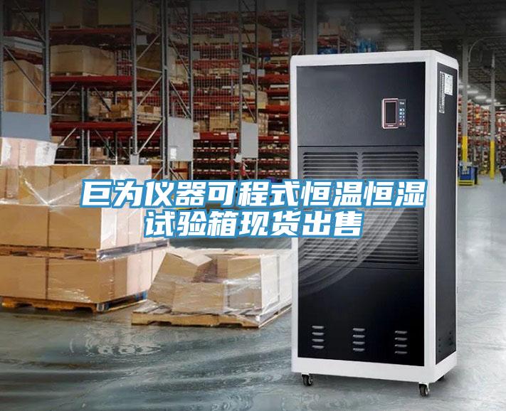 巨为仪器可程式恒温恒湿试验箱现货出售