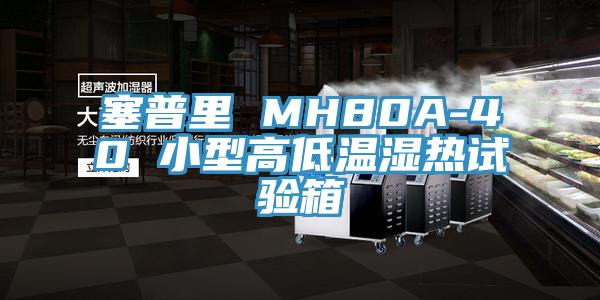 塞普里 MH80A-40 小型高低温湿热试验箱