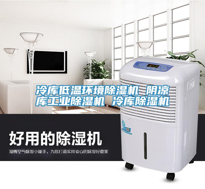 冷库低温环境除湿机 阴凉库工业除湿机 冷库除湿机