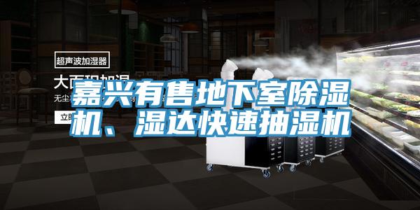 嘉兴有售地下室除湿机、湿达快速抽湿机