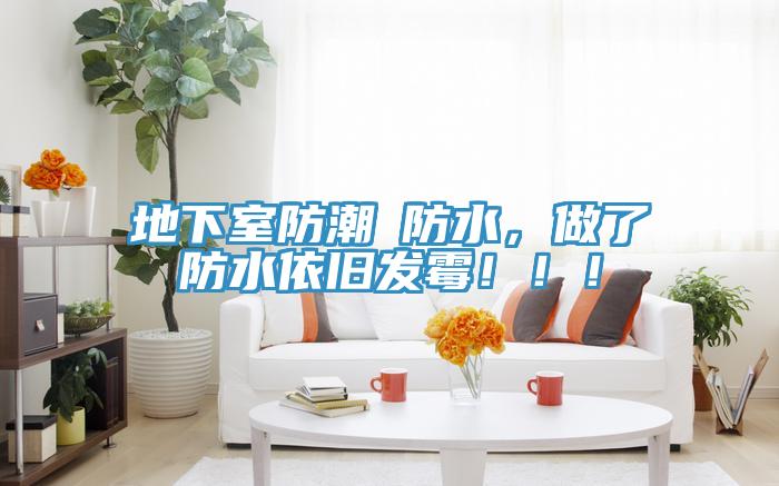 地下室防潮≠防水，做了防水依旧发霉！！！