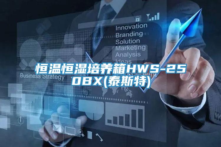 恒温恒湿培养箱HWS-250BX(泰斯特)
