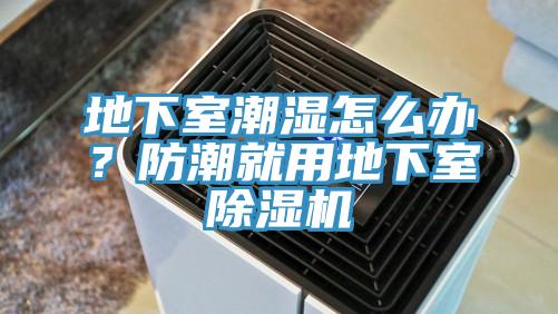 地下室潮湿怎么办？防潮就用地下室除湿机