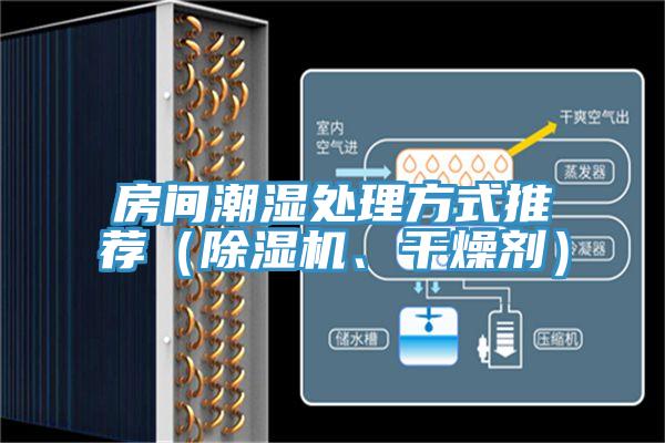 房间潮湿处理方式推荐（除湿机、干燥剂）