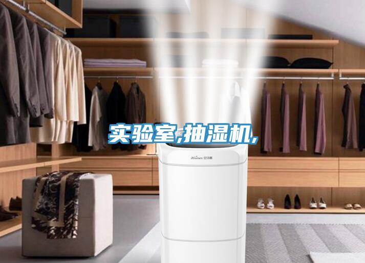 实验室,抽湿机,