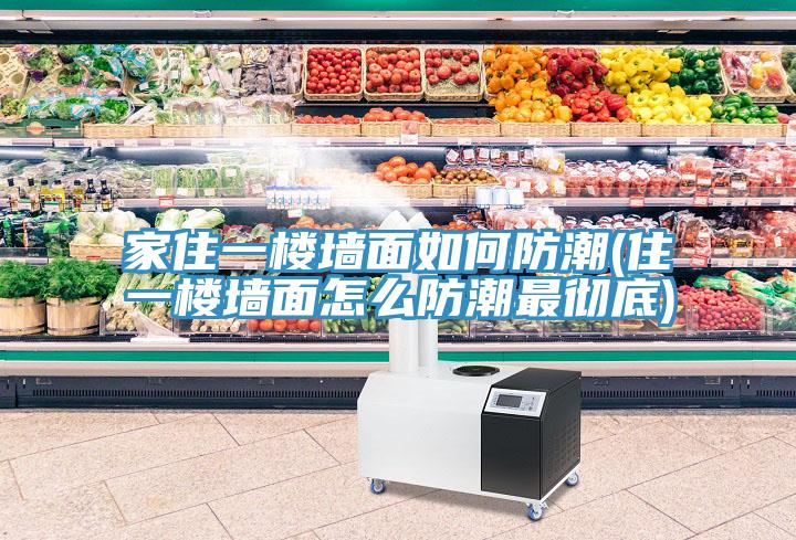 家住一楼墙面如何防潮(住一楼墙面怎么防潮最彻底)