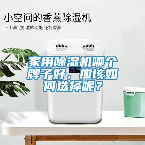家用除湿机哪个牌子好，应该如何选择呢？