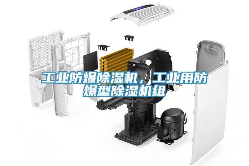 工业防爆除湿机，工业用防爆型除湿机组
