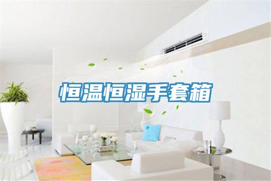 恒温恒湿手套箱
