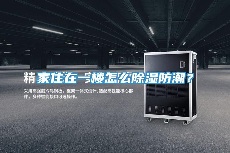 家住在一楼怎么除湿防潮？