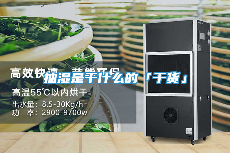 抽湿是干什么的「干货」