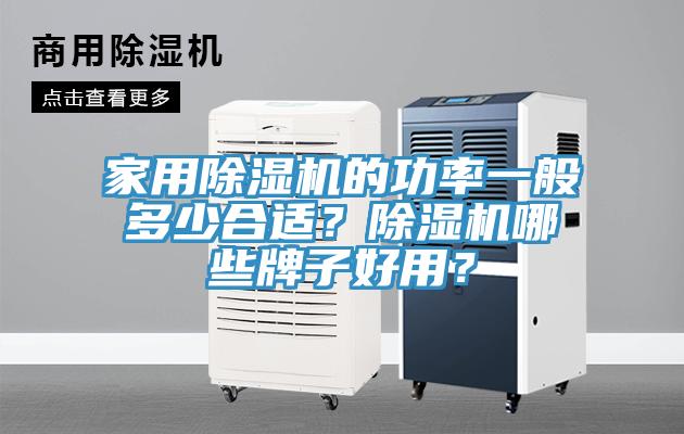 家用除湿机的功率一般多少合适？除湿机哪些牌子好用？