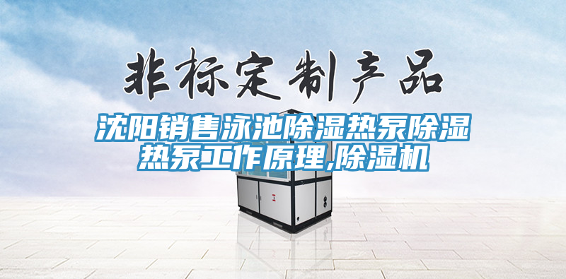 沈阳销售泳池除湿热泵除湿热泵工作原理,除湿机