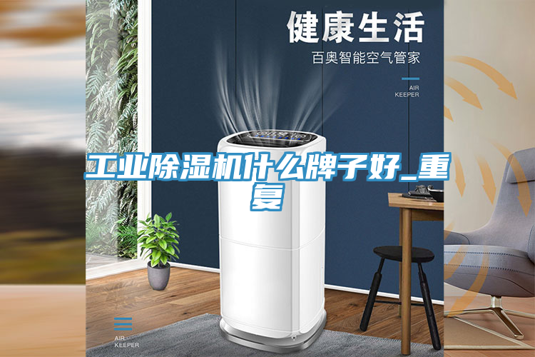 工业除湿机什么牌子好_重复
