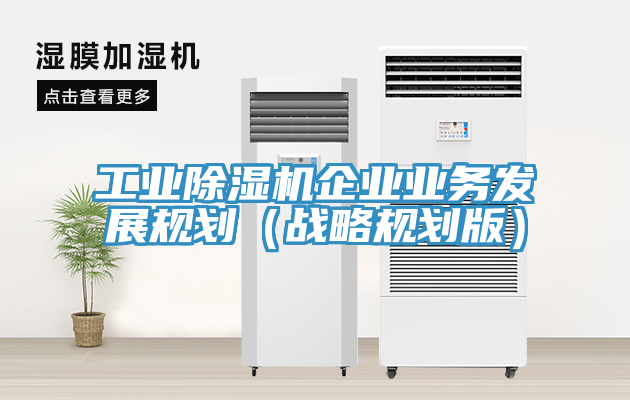 工业除湿机企业业务发展规划（战略规划版）