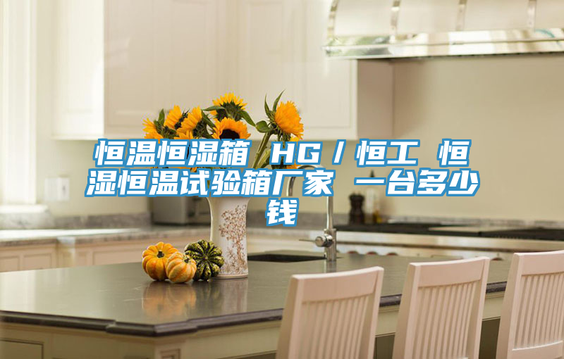 恒温恒湿箱 HG／恒工 恒湿恒温试验箱厂家 一台多少钱