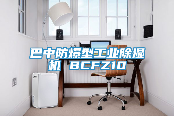 巴中防爆型工业除湿机 BCFZ10
