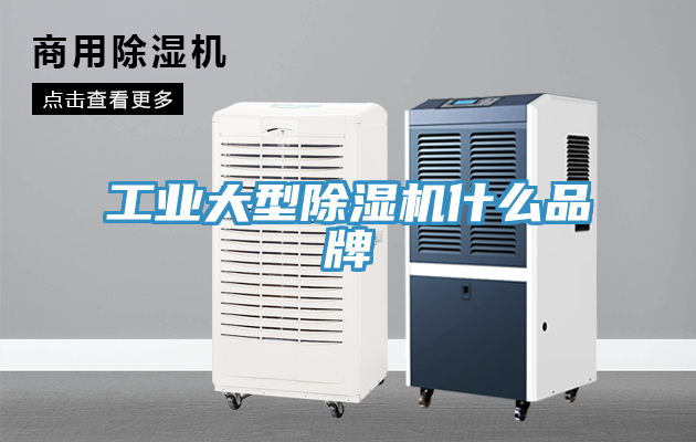 工业大型除湿机什么品牌