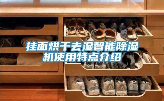 挂面烘干去湿智能除湿机使用特点介绍
