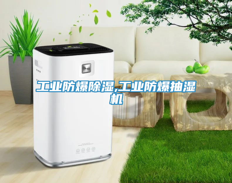 工业防爆除湿,工业防爆抽湿机
