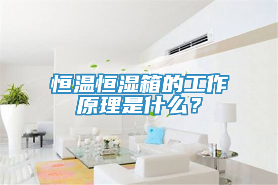 恒温恒湿箱的工作原理是什么？
