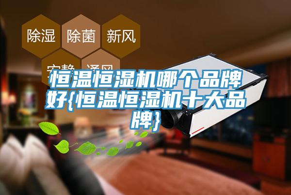 恒温恒湿机哪个品牌好{恒温恒湿机十大品牌}