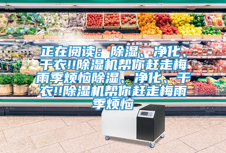 正在阅读：除湿、净化、干衣!!除湿机帮你赶走梅雨季烦恼除湿、净化、干衣!!除湿机帮你赶走梅雨季烦恼