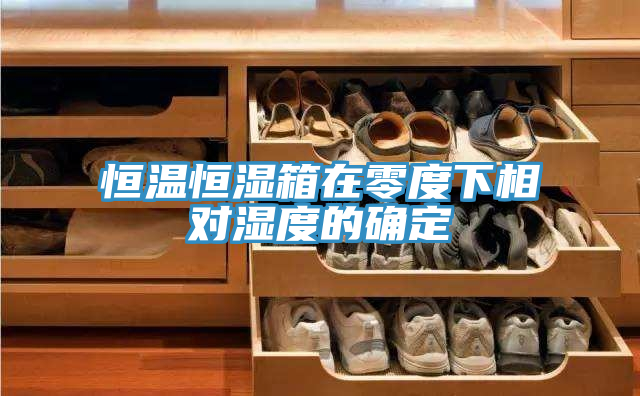 恒温恒湿箱在零度下相对湿度的确定