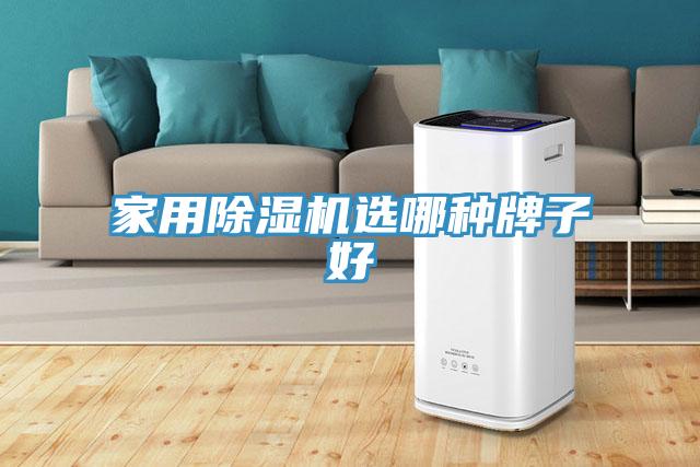 家用除湿机选哪种牌子好