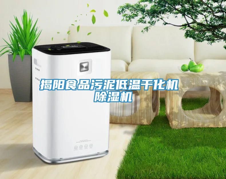 揭阳食品污泥低温干化机 除湿机