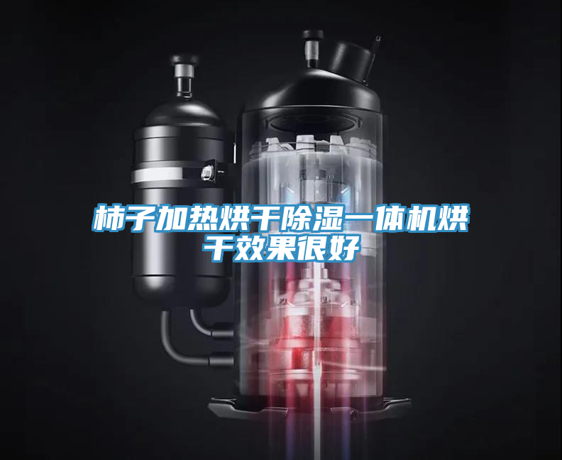 柿子加热烘干除湿一体机烘干效果很好