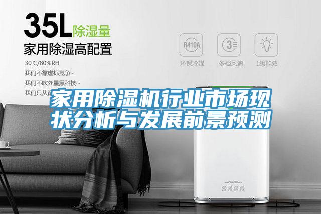 家用除湿机行业市场现状分析与发展前景预测