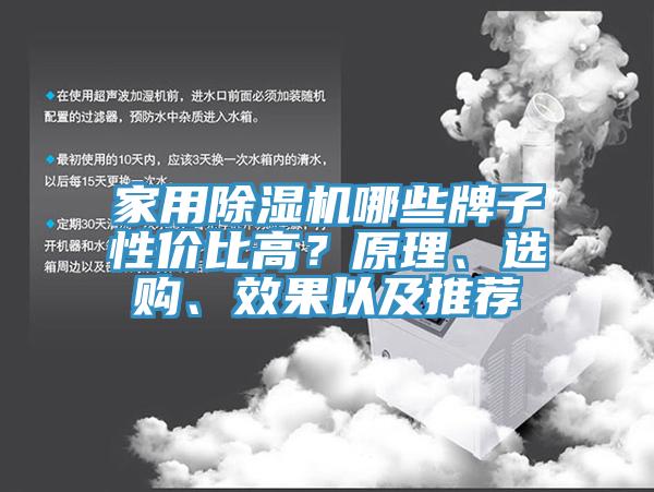 家用除湿机哪些牌子性价比高？原理、选购、效果以及推荐