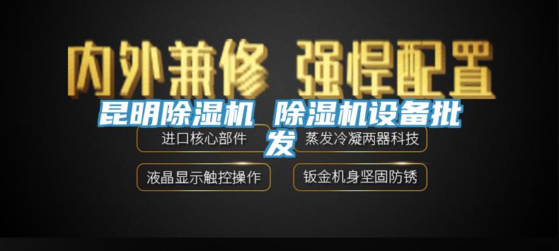 昆明除湿机 除湿机设备批发
