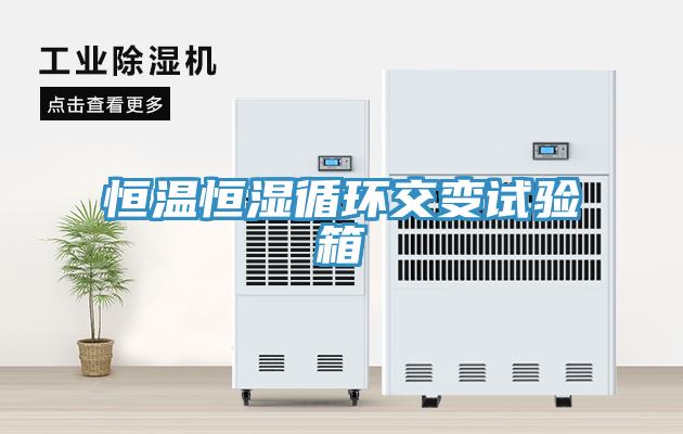 恒温恒湿循环交变试验箱