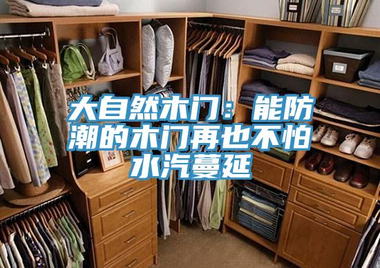 大自然木门：能防潮的木门再也不怕水汽蔓延