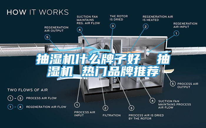 抽湿机什么牌子好  抽湿机 热门品牌推荐