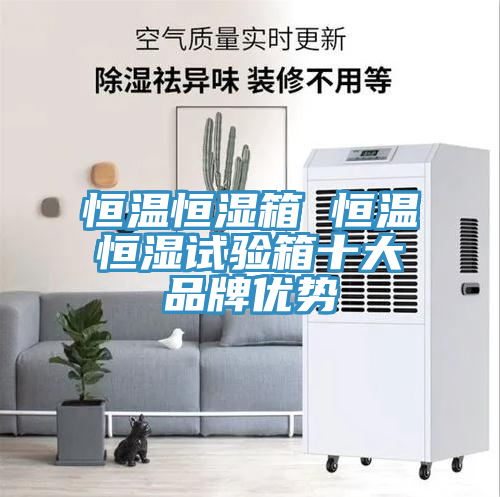 恒温恒湿箱 恒温恒湿试验箱十大品牌优势