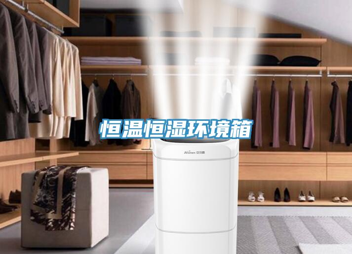 恒温恒湿环境箱