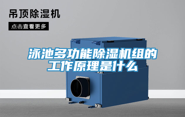 泳池多功能除湿机组的工作原理是什么