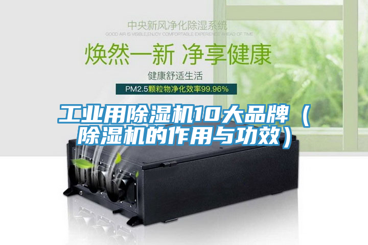 工业用除湿机10大品牌（除湿机的作用与功效）