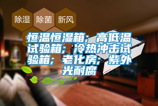 恒温恒湿箱; 高低温试验箱; 冷热冲击试验箱; 老化房; 紫外光耐腐