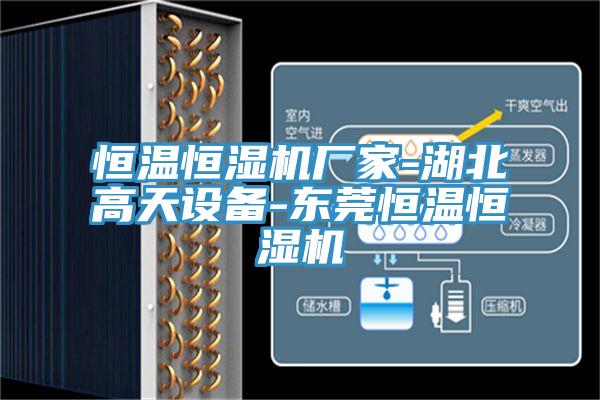 恒温恒湿机厂家-湖北高天设备-东莞恒温恒湿机