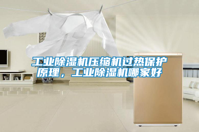 工业除湿机压缩机过热保护原理，工业除湿机哪家好