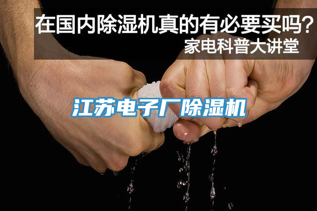 江苏电子厂除湿机