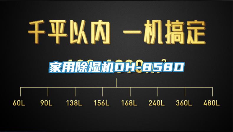 家用除湿机DH-858D