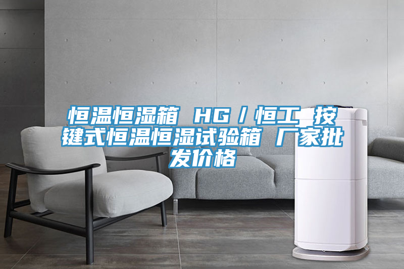 恒温恒湿箱 HG／恒工 按键式恒温恒湿试验箱 厂家批发价格