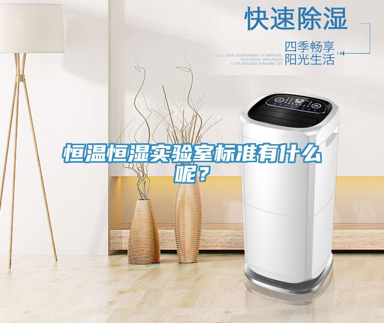 恒温恒湿实验室标准有什么呢？
