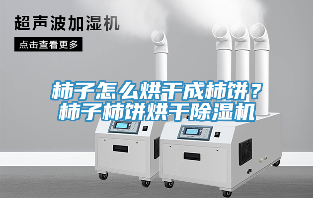 柿子怎么烘干成柿饼？柿子柿饼烘干除湿机